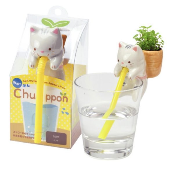 Chuppon-Cat(Mint Growing kit)