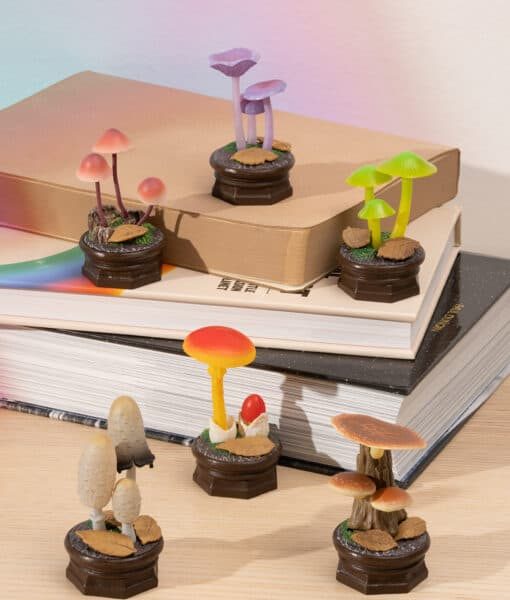 Mushroom Garden Blind Box Version 2